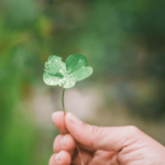 https://goodluck4.com/