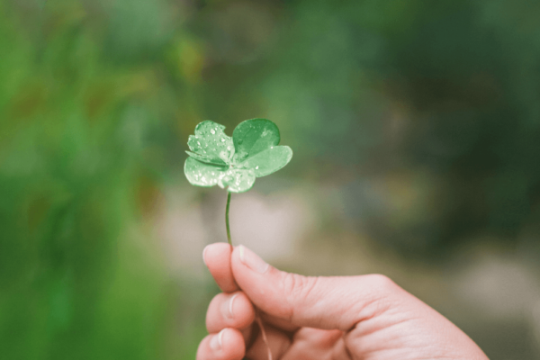 Embracing Good Luck: How to Attract Positive Energy into Your Life https://goodluck4.com/
