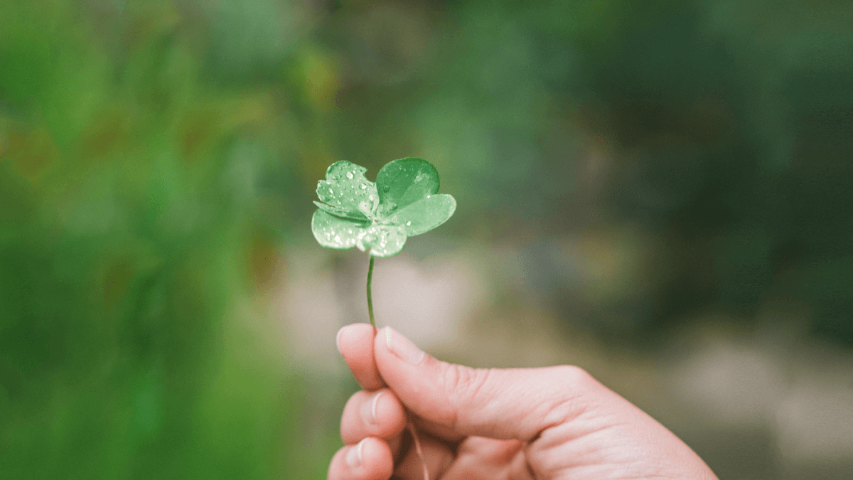 https://goodluck4.com/