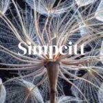 simpcitt