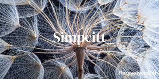simpcitt